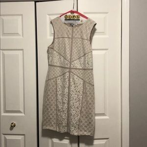 Maggy London lace sheath